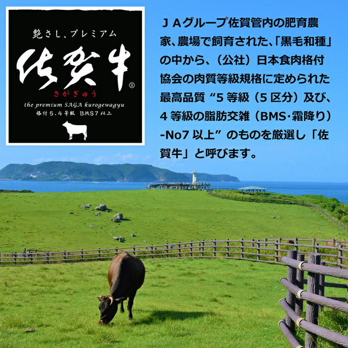 【産地直送】 嬉野温泉大正屋 佐賀牛カレー ３個＋すりだね「激辛味」セット カレーライス ビーフ レトルト 欧風 ビーフカレー 和牛 国産 湯煎 惣菜 辛味 調味料 薬味 七味 時短 本格的 中辛 弁当 高級 贈り物 プレゼント ギフト 母の日 お歳暮 お中元 在宅 おうちごはん