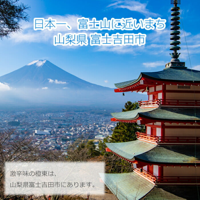 【産地直送】 富士吉田 橙東の「激辛味」 アウトドア用 すりだね にんにく 辛味 万能調味料 激辛 薬味 七味 ラー油 黒ごま 白ごま 豆板醤 ごま油 山椒 うどん用 焼肉 持ち運び キャンプ用 バーベキュー 富士山 河口湖 贈り物 お土産 ノベルティ 産直 おうちごはん プレゼント