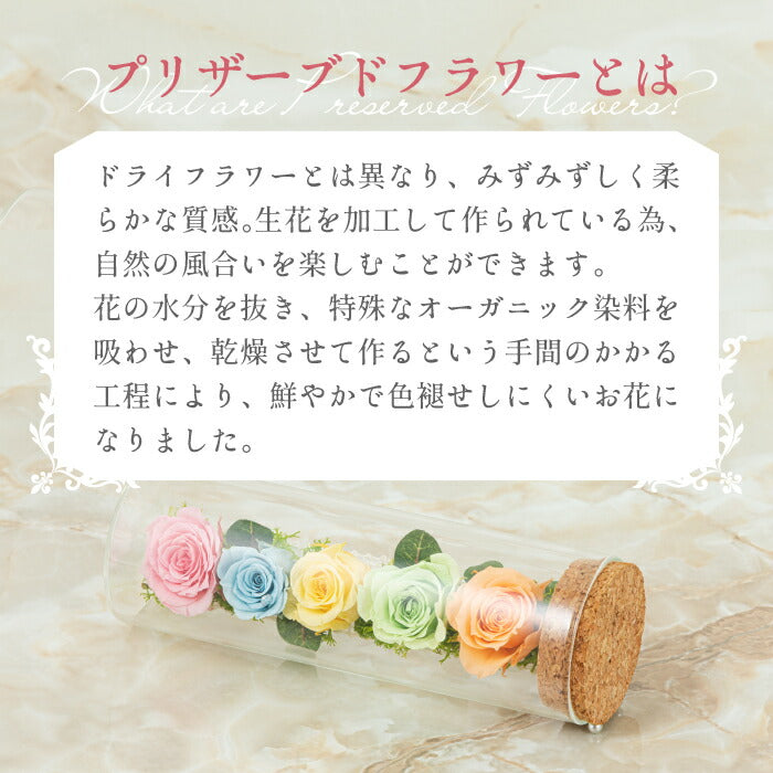 プリザーブドフラワー バラ 花ギフト グラスローズ ボトルフラワー 花束 そのまま飾れる 薔薇 枯れない お花 アレンジメント 苔 飾り ミニ フラワー インテリア 手作り ハンドメイド おしゃれ かわいい ナチュラル フラワーギフト プレゼント 贈り物 誕生日