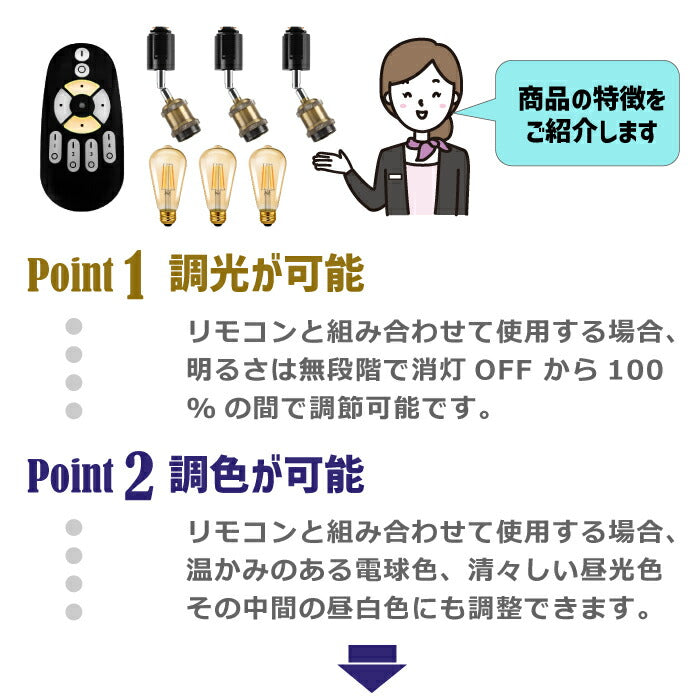 ダクトレールライト ペンダントライト 3灯セット E26口金 LED電球付き 調光調色 エジソン電球 60W形相当 昼光色 昼白色 電球色 常夜灯 スポットライト 照明器具 天井 led ダクトレール用 リモコン付き レールライト リビング カフェ風 おしゃれ レトロ 人気