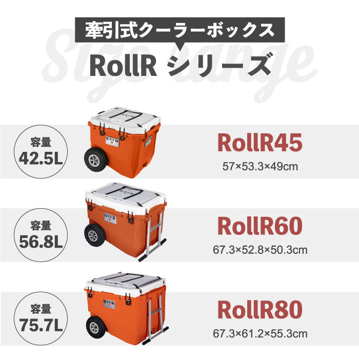 クーラーボックス ROVR IC25 23.7L 大容量 保温 保冷 収納 おしゃれ 軽量 コンパクト 肩掛け 長時間 保冷ボックス ストラップ 部活 釣り チェア アウトドア キャンプ 海 レジャー 花見 登山 運動会 車載 スポーツ バーベキュー BBQ ピクニック COOLER BOX