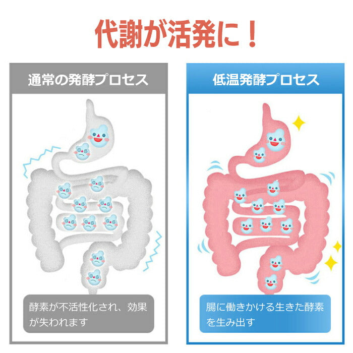 【送料無料】 サプリメント 熟成酵素粒 殺菌乳酸菌 PREMIUM abura シ・ボール 植物発酵エキス末 腸内環境 脂肪燃焼 野菜酵素 食物繊維 健康 エクササイズ 野菜不足 偏食 ビタミン 果物 野草 発酵 熟成 サプリ 毎朝スッキリ ビフィズス菌 抗酸化 抗糖植物酵素 栄養補助食品