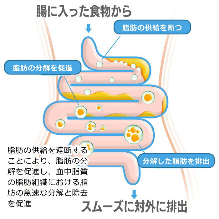 【送料無料】 サプリメント 熟成酵素粒 殺菌乳酸菌 PREMIUM abura シ・ボール 植物発酵エキス末 腸内環境 脂肪燃焼 野菜酵素 食物繊維 健康 エクササイズ 野菜不足 偏食 ビタミン 果物 野草 発酵 熟成 サプリ 毎朝スッキリ ビフィズス菌 抗酸化 抗糖植物酵素 栄養補助食品