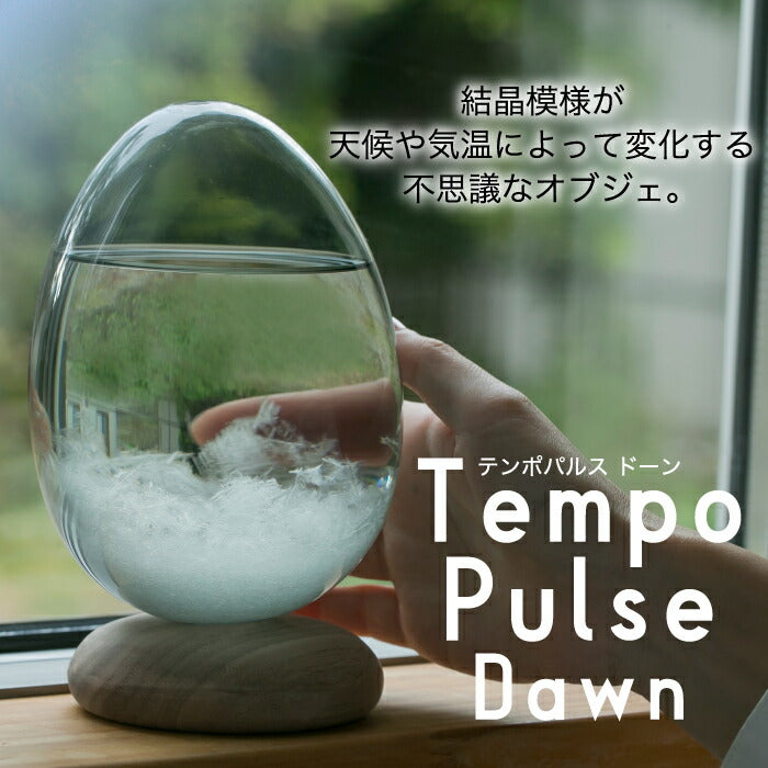 TEMPO PULSE DAWN テンポパルス ストームグラス インテリア雑貨 おしゃれ 雑貨 プレゼント ドーン オブジェ 置物 ガラス 飾り 天気予報 テンポドロップ 気象予報器 天気管 天気 硝子 卵 晴雨予報グラス 結晶 季節 天候 北欧 かわいい ギフト 贈り物 お祝い