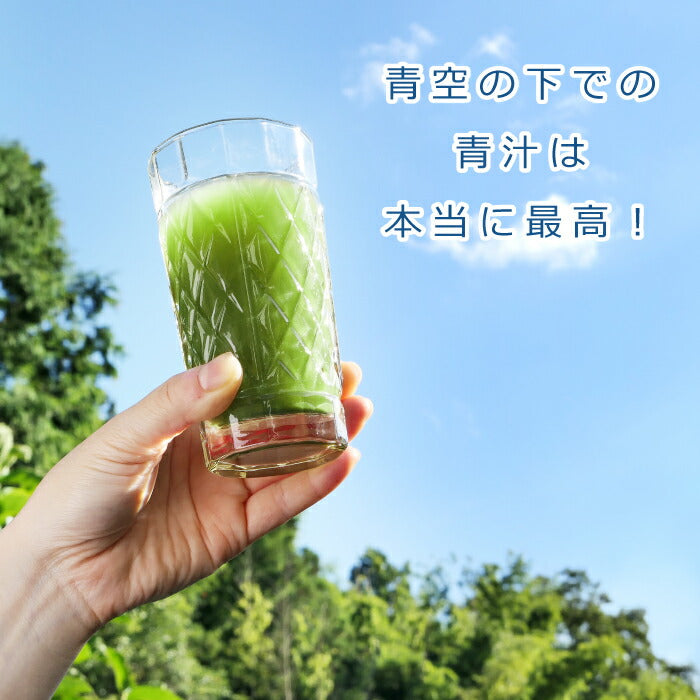 【送料無料】 青汁 乳酸菌 雑穀 絶好CHOO リッチプレミアム (2.4g×60包) 1箱 国産 500億個の乳酸菌 発酵米 発酵雑穀 緑茶風 大麦若葉 桑の葉 野菜 果物 玄米 栄養素 ケール 粉末 食物繊維 ビタミン ミネラル 美容 ダイエット 腸活 健康 ギフト 日本製 澁谷梨絵