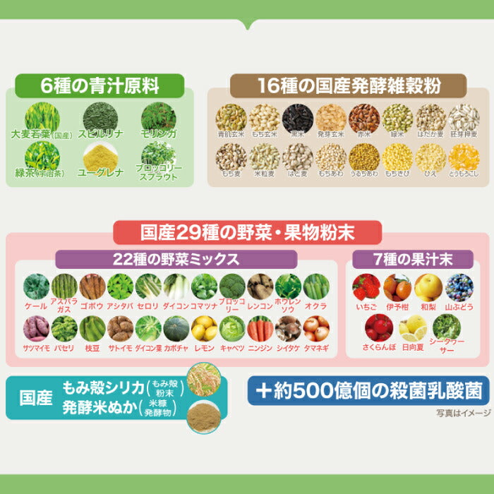 【送料無料】 青汁 乳酸菌 雑穀 絶好CHOO リッチプレミアム (2.4g×180包) 1箱 国産 500億個の乳酸菌 発酵米 発酵雑穀 緑茶風 大麦若葉 桑の葉 野菜 果物 玄米 栄養素 ケール 粉末 食物繊維 ビタミン ミネラル 美容 ダイエット 腸活 健康 ギフト 日本製 澁谷梨絵